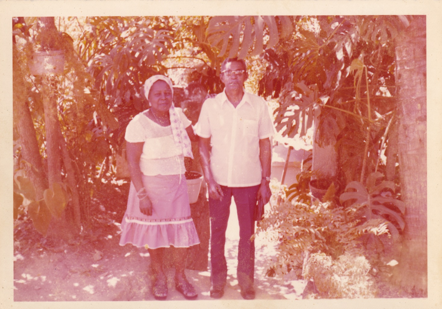 Em um quintal, debaixo de árvores e folhagens, estão Tia Maria e seu marido Ivan, lado a lado. Ela é negra. Usa lenço branco com estampas à cabeça, que cai pelo ombro até a altura do peito, blusa branca e saia azul abaixo dos joelhos, com uma lista branca perto do barrado. Usa cordão e pulseiras. Tia Maria toca no ombro de Ivan. Ele é negro de cabelos castanhos. Usa óculos de grau quadrados, camisa branca de mangas curtas e calça azul. Ambos olham para frente.